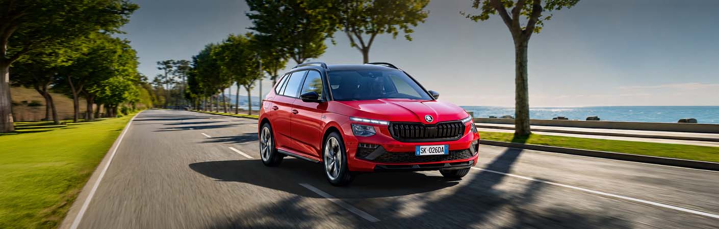 SKODA Kamiq Dettaglio