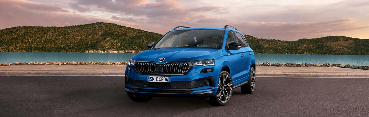 SKODA Karoq Dettaglio