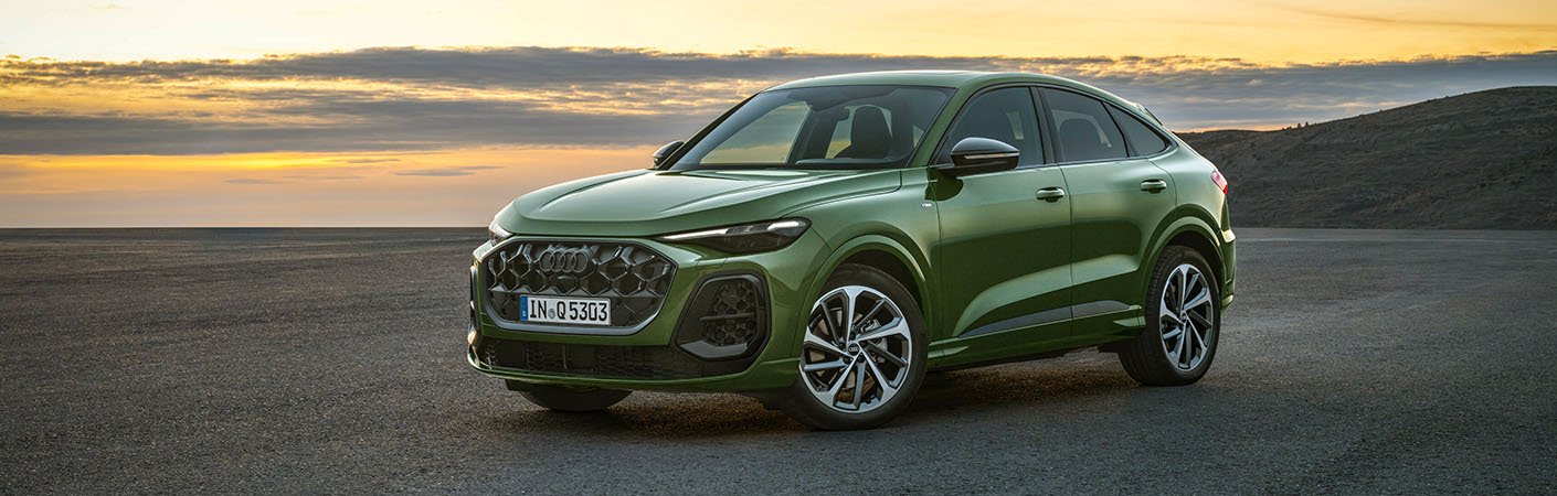 Audi Q5 Dettaglio