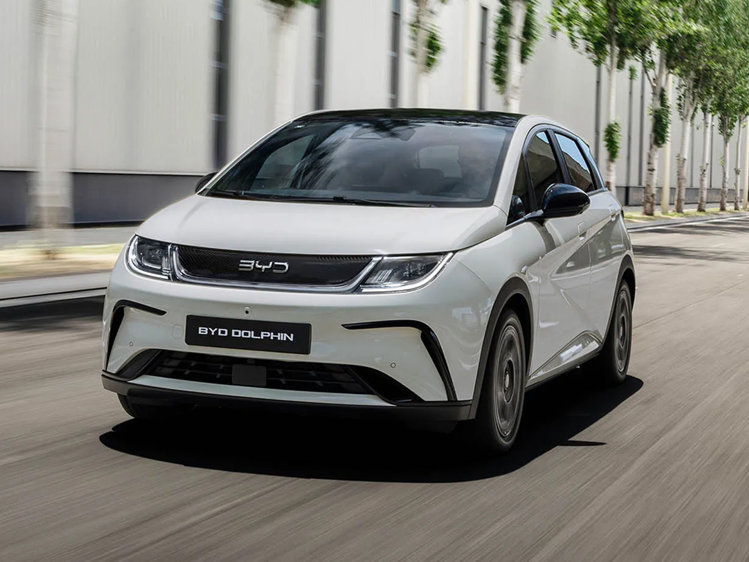 Byd Dolphin Foto (2)